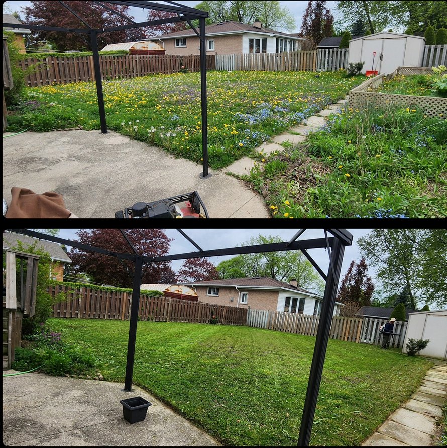 Phan Maintenance landscaping Hamilton