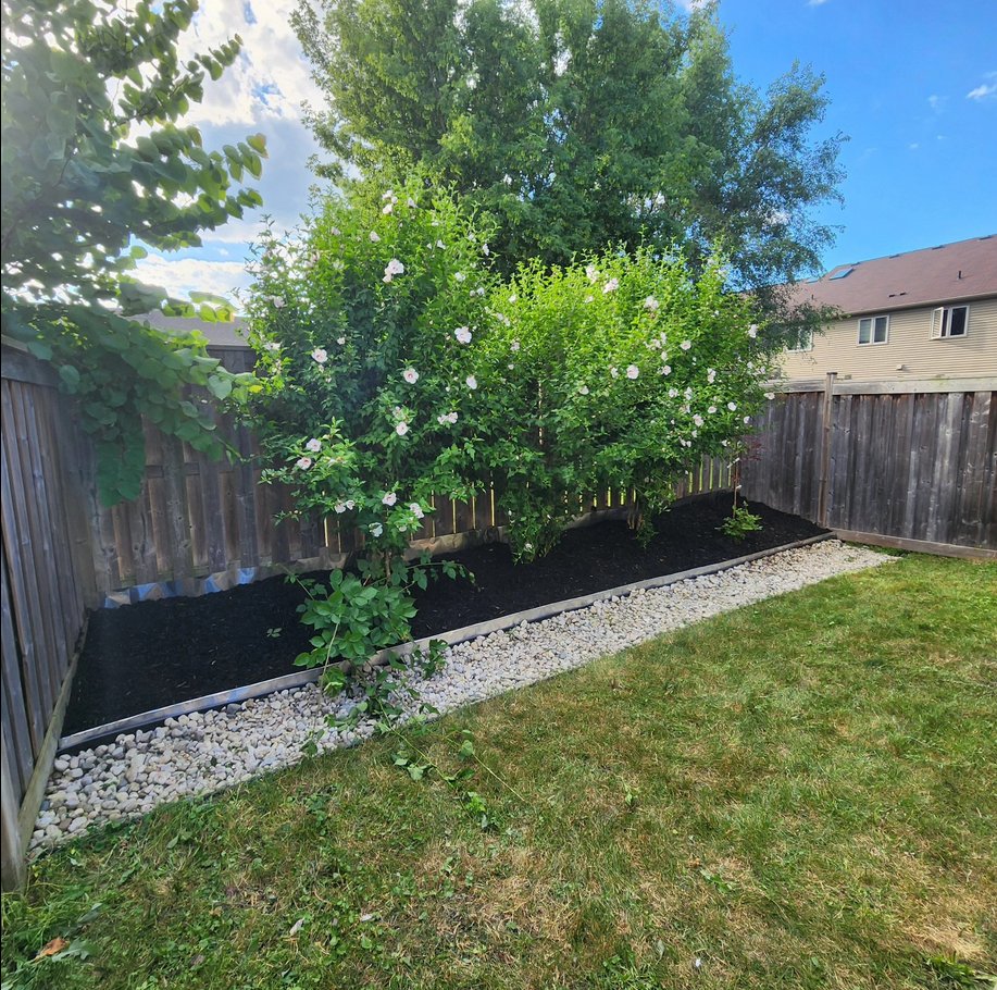 Phan Maintenance landscaping Hamilton