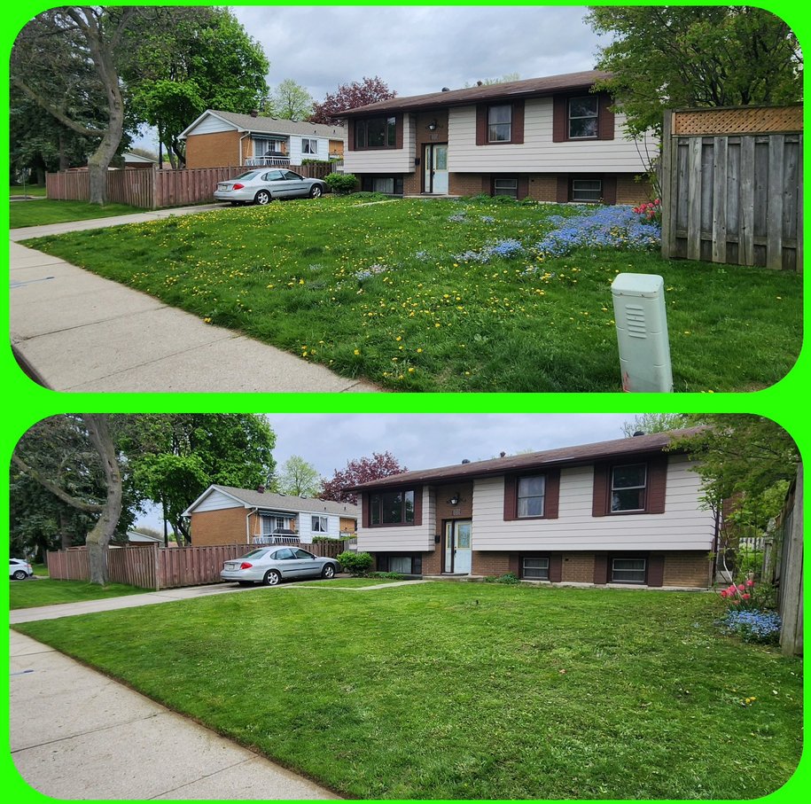 Phan Maintenance lawn mowing Ancaster