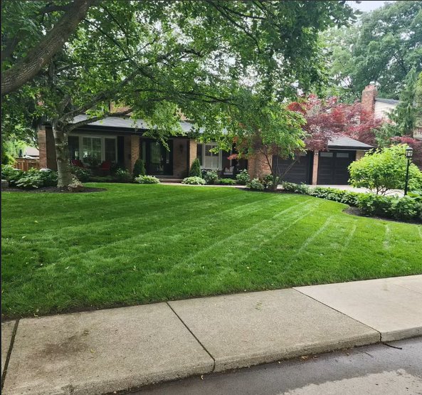 Phan Maintenance property maintenance Hamilton